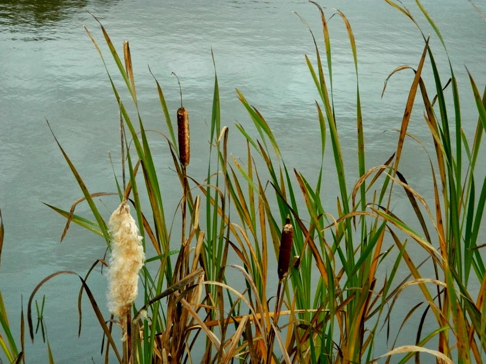 Groots geboren klein sterven.